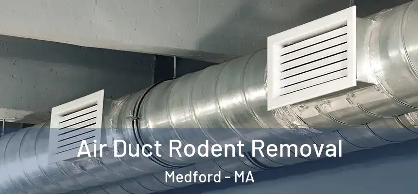  Air Duct Rodent Removal Medford - MA