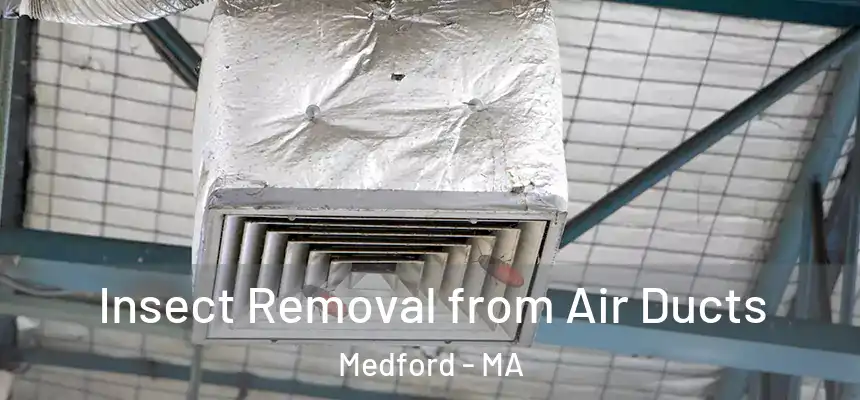 Insect Removal from Air Ducts Medford - MA