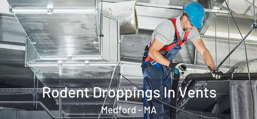 Rodent Droppings In Vents Medford - MA