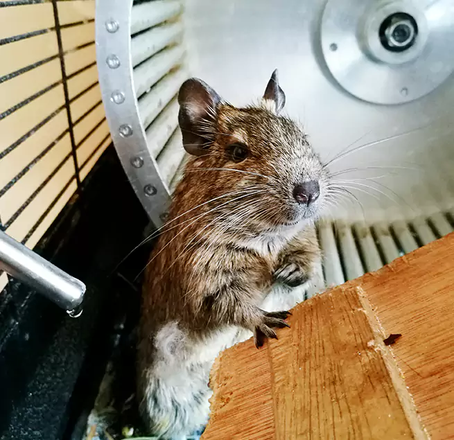 Why Homeowners & Businesses Trust Us Medford, MA?