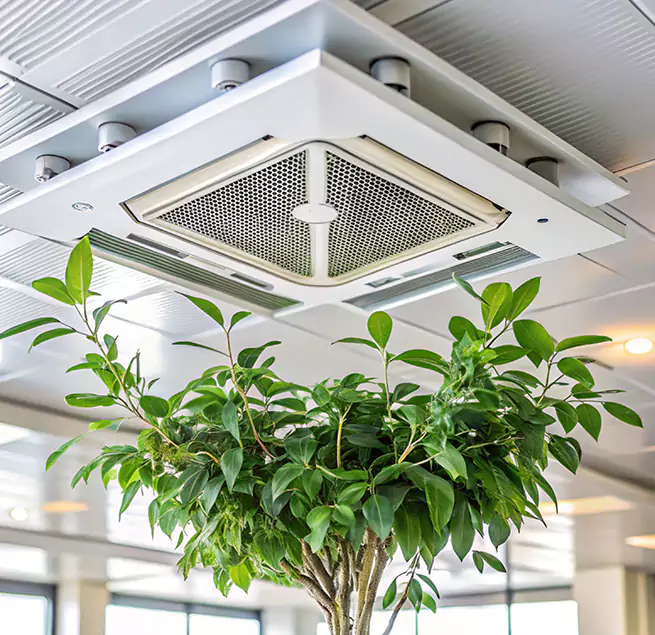 Why Homeowners & Businesses Trust Us in Medford, MA